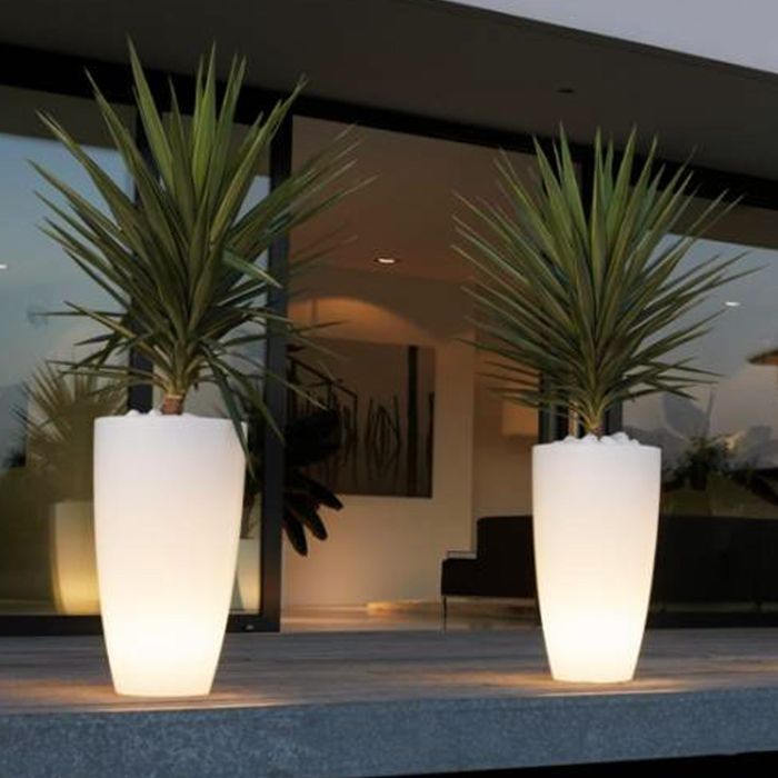 Vaso Agave Tondo Con Luce Azzurra H70 Ø 33Cm
