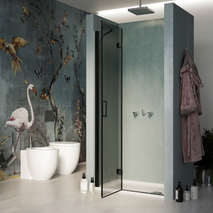 Porta Doccia 75CM H190 Vetro Trasparente mod. Flip Black Anta + Profilo