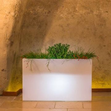 Vaso Luminoso Fioriera In Resina Rettangolare H 80 CM led vari colori mod. Flowerpot Top Bright