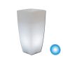 Vaso Agave Quadrato Con Luce Azzurra H70 33x33Cm