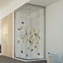 Box doccia 70x80CM H198 trasparente mod. Evolution