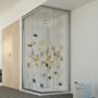 Box doccia 70x80CM H198 trasparente mod. Evolution